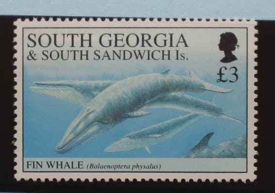 South Georgia and South Sandwich Islands Stamps, 1994, SG241, Mint image 0