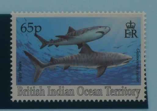 British Indian Ocean Territory Stamps, 1994, SG163, Mint image 0