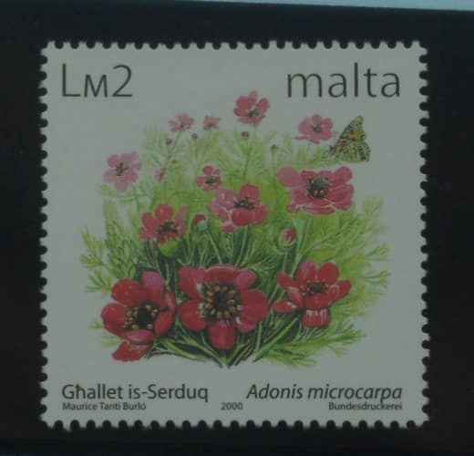Malta Stamps, 1999-2003, SG1151, Mint image 0