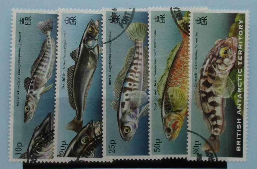 British Antarctic Territory Stamps, 1999, SG302-306, Used image 0