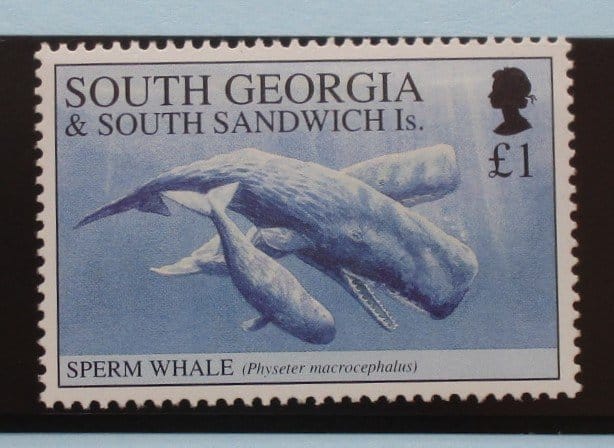 South Georgia and South Sandwich Islands Stamps, 1994, SG240, Mint image 0