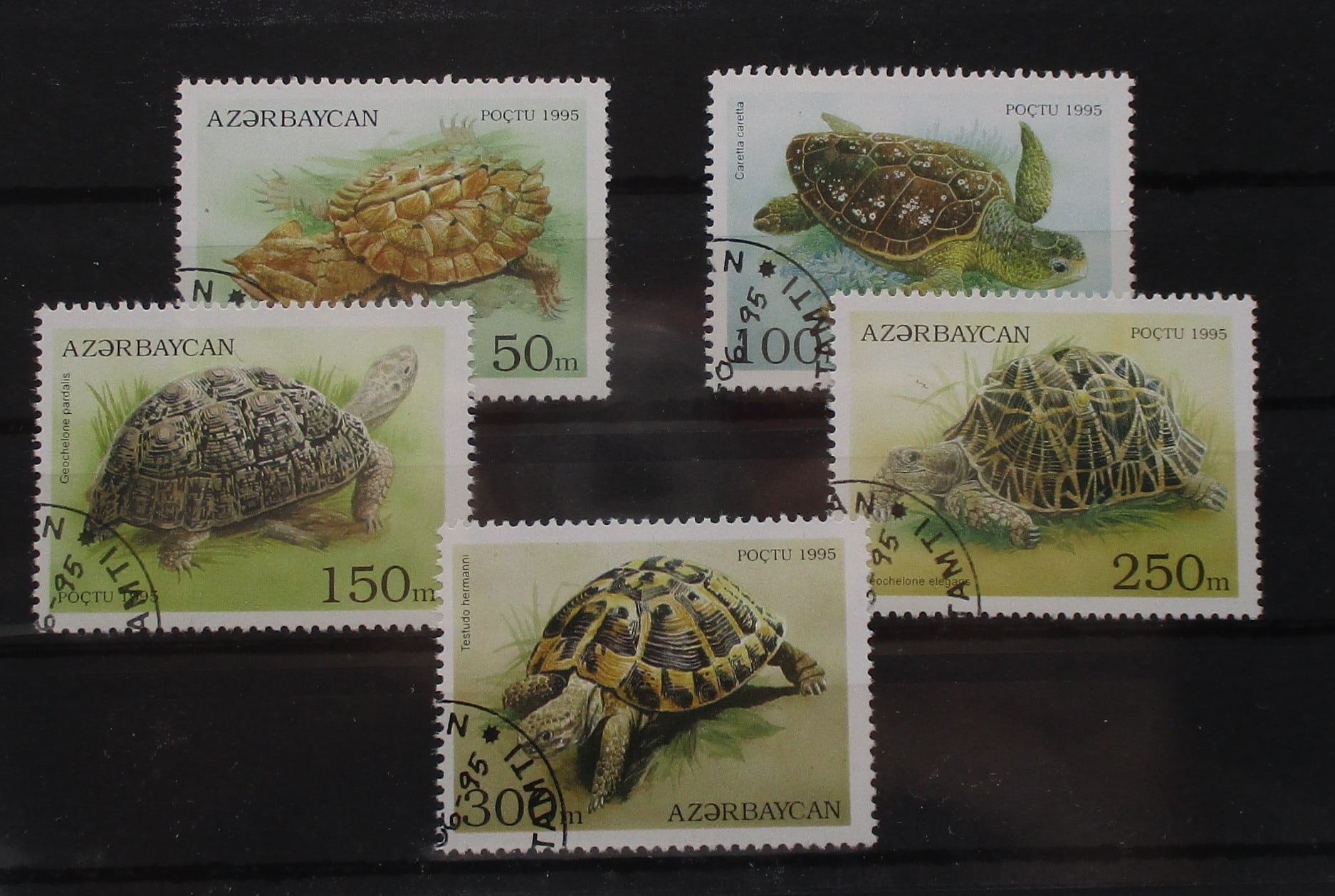 Azerbaijan Stamps, 1995, SG234-238, Used image 0