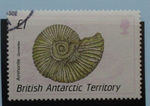 British Antarctic Territory Stamps, 1990, SG184, Used image 0