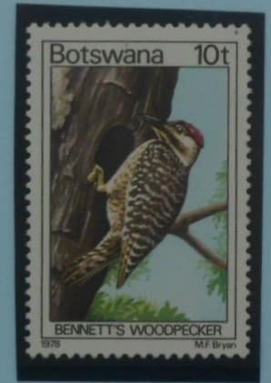 Botswana Stamps, 1978, SG417, Mint image 0