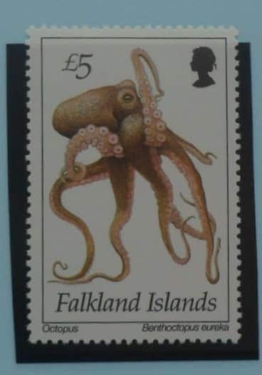 Falkland Islands Stamps, 1994, SG712, Mint image 0