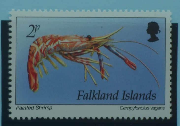 Falkland Islands Stamps, 1994, SG702, Mint image 0
