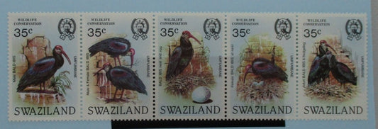Swaziland Stamps, 1985, SG481a, Mint image 0