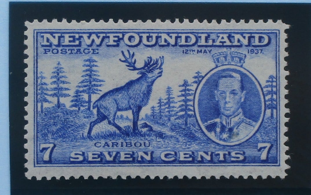 Newfoundland Stamps, 1937, SG259, Mint image 0