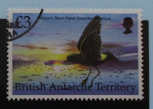 British Antarctic Territory Stamps, 1998, SG300, Used image 0