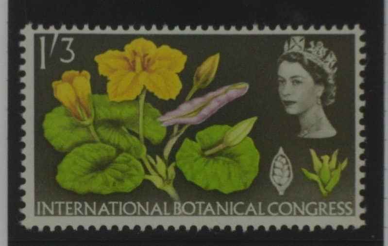 Great Britain Stamps, 1964, SG658p, Mint image 0