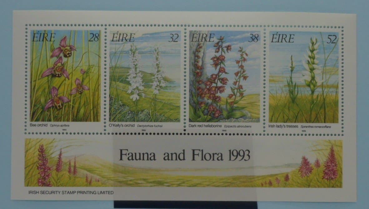 Ireland Stamps, 1993, MS875, Mint image 0