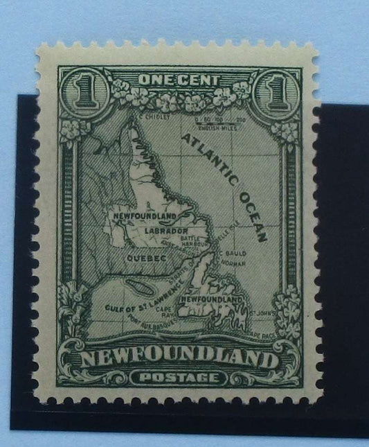 Newfoundland Stamps, 1928-29, SG164, Mint image 0