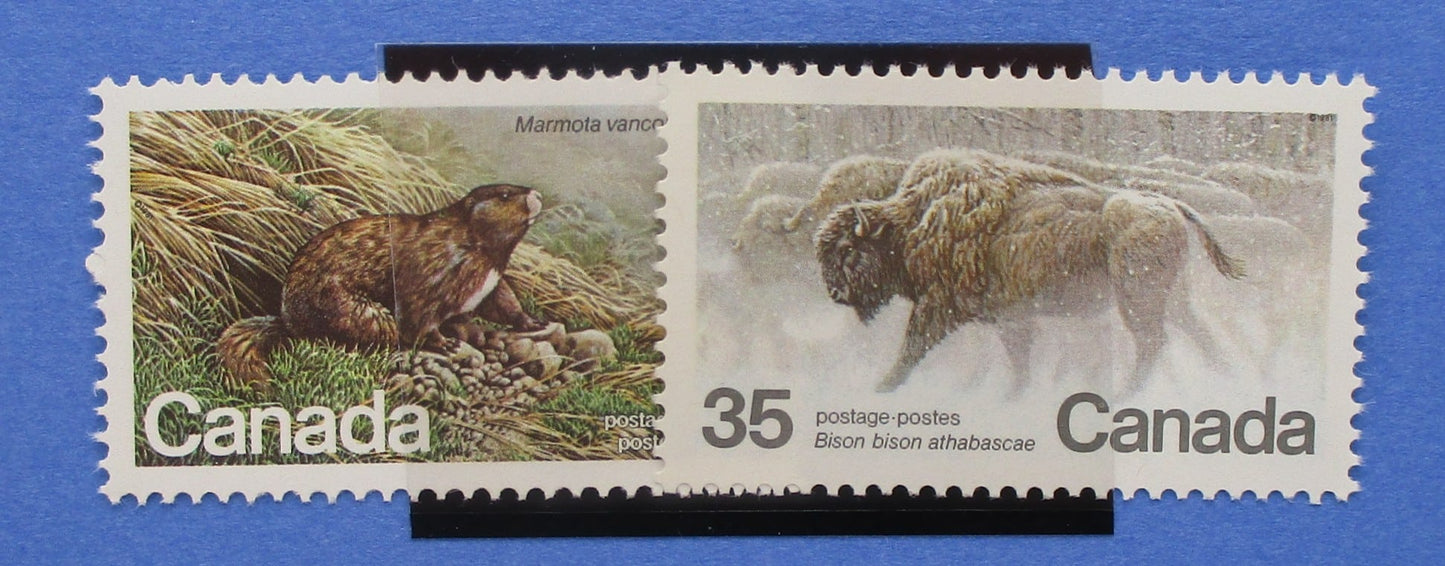 Canada Stamps, 1981, SG1006-1007, Mint image 0