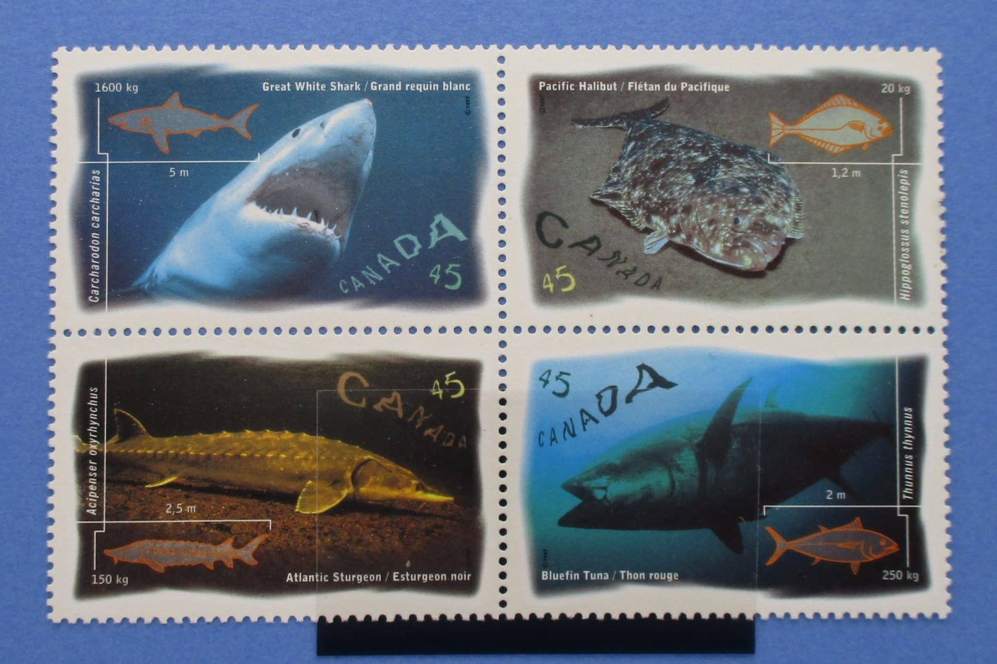 Canada Stamps, 1997, SG1727a, Mint image 0