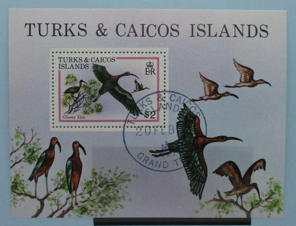 Turks and Caicos Islands Stamps, 1980, MS597, Used image 0