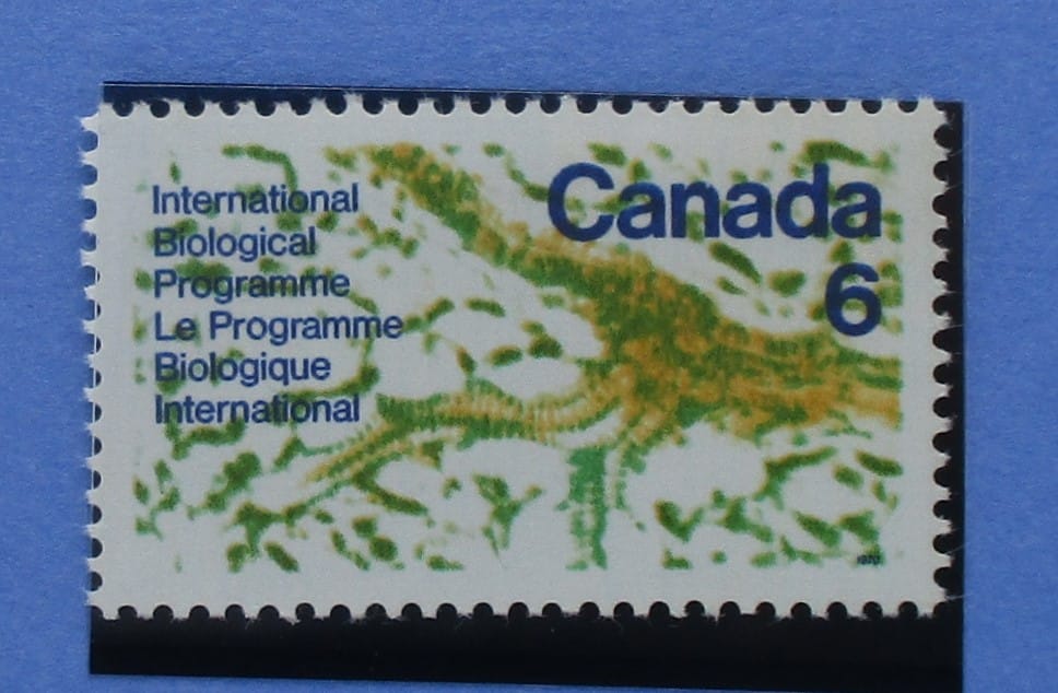 Canada Stamps, 1970, SG649, Mint image 0