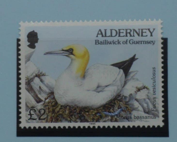 Alderney Stamps, 1994-98, SGA77, Mint image 0