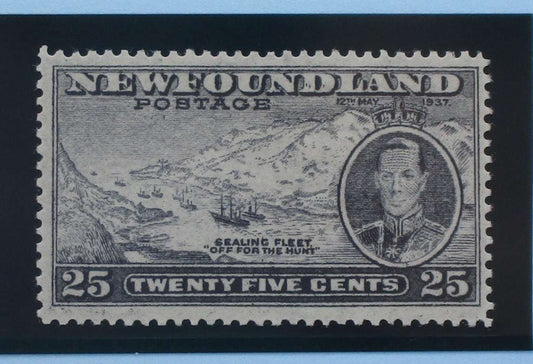 Newfoundland Stamps, 1937, SG266, Mint image 0