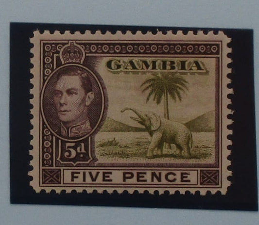 Gambia Stamps, 1938-46, SG154a, Mint image 0