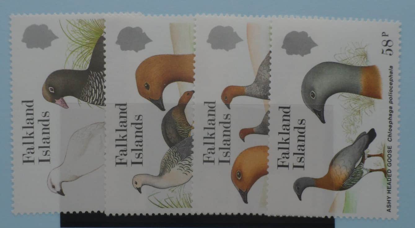 Falkland Islands Stamps, 1988, SG559-562, Mint image 0