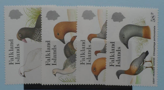 Falkland Islands Stamps, 1988, SG559-562, Mint image 0