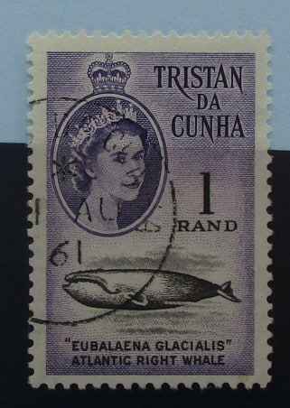 Tristan da Cunha Stamps, 1961, SG54, Used image 0