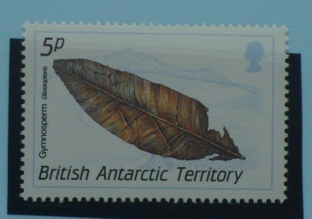 British Antarctic Territory Stamps, 1990, SG175, Mint image 0