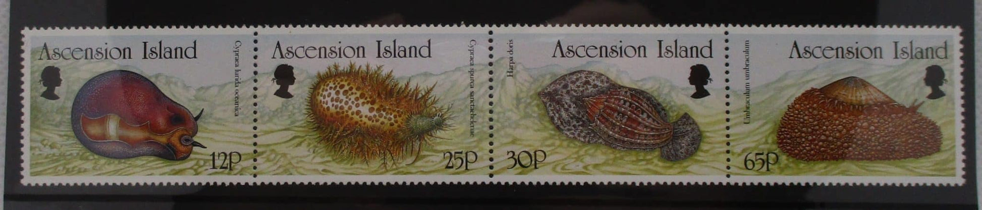 Ascension Island Stamps, 1996, SG667a, Mint image 0