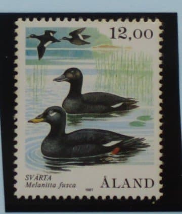 Aland Islands Stamps, 1987, SG27, Mint image 0