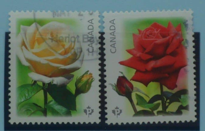 Canada Stamps, 2014, SG3025-3026, Used image 0