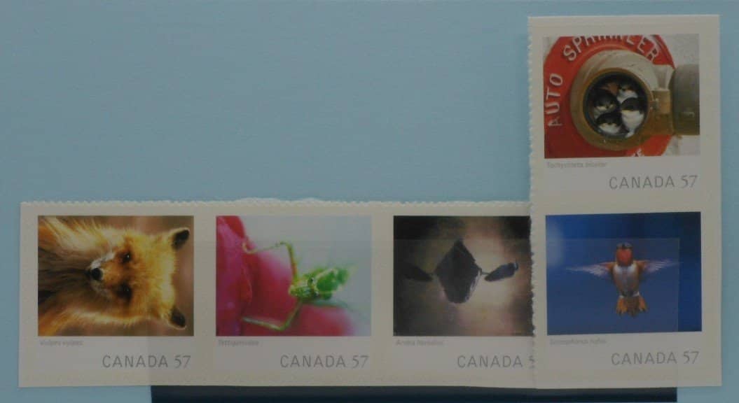 Canada Stamps, 2010, SG2679-2683, Mint image 0