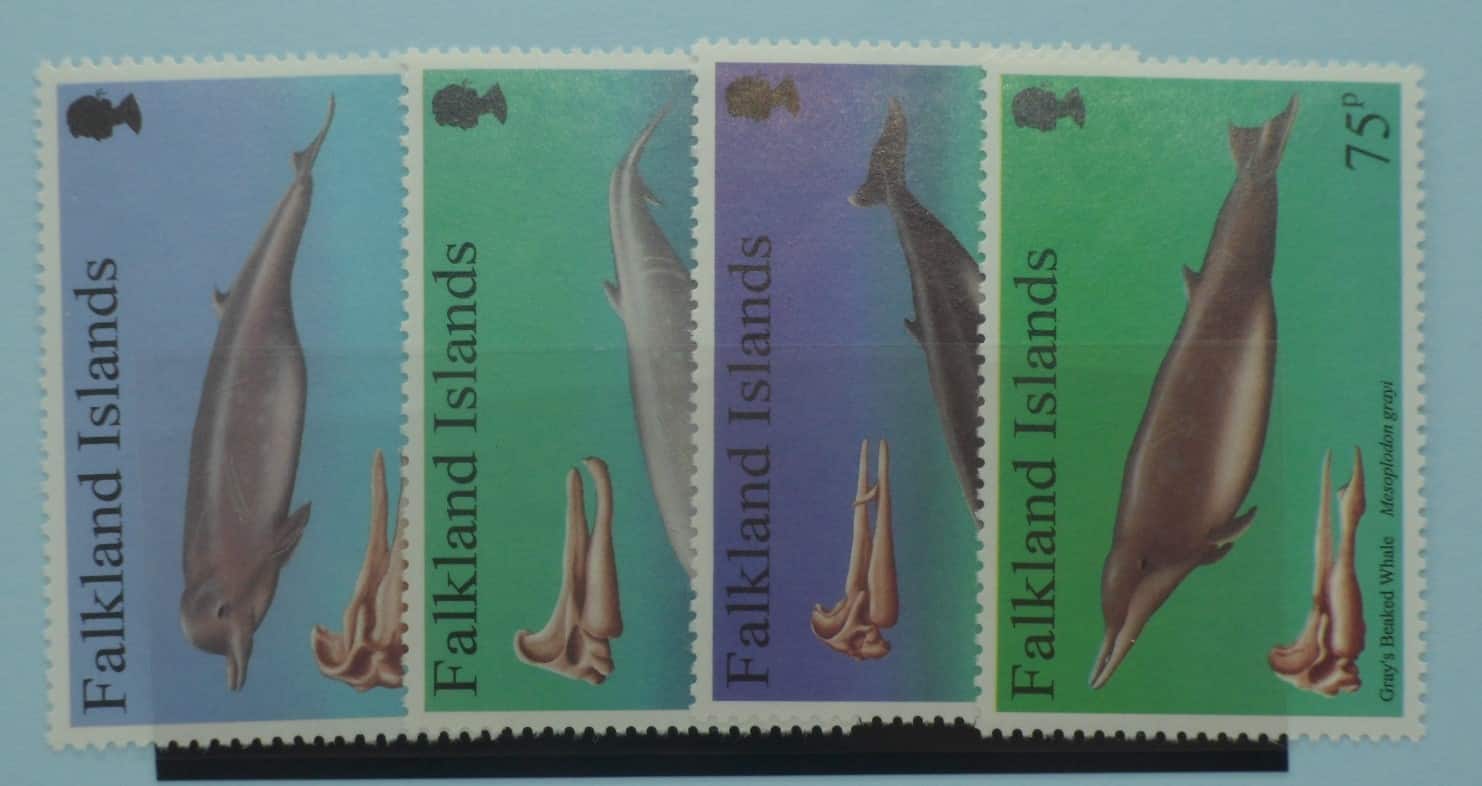 Falkland Islands Stamps, 1996, SG771-774, Mint image 0
