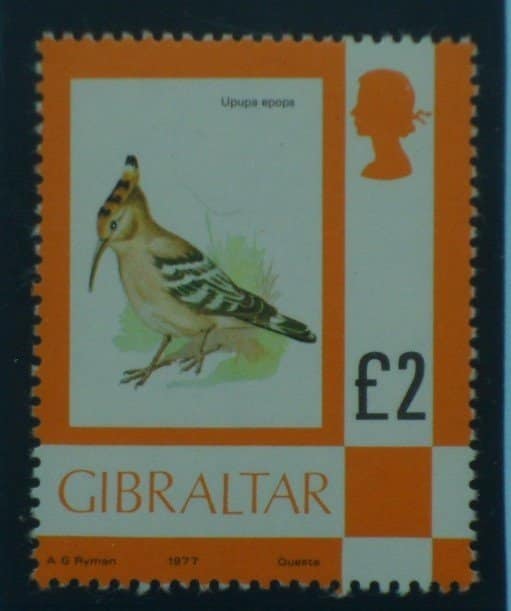 Gibraltar stamps, 1977-82, SG389, Mint image 0