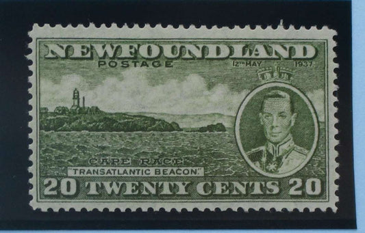 Newfoundland Stamps, 1937, SG264, Mint image 0
