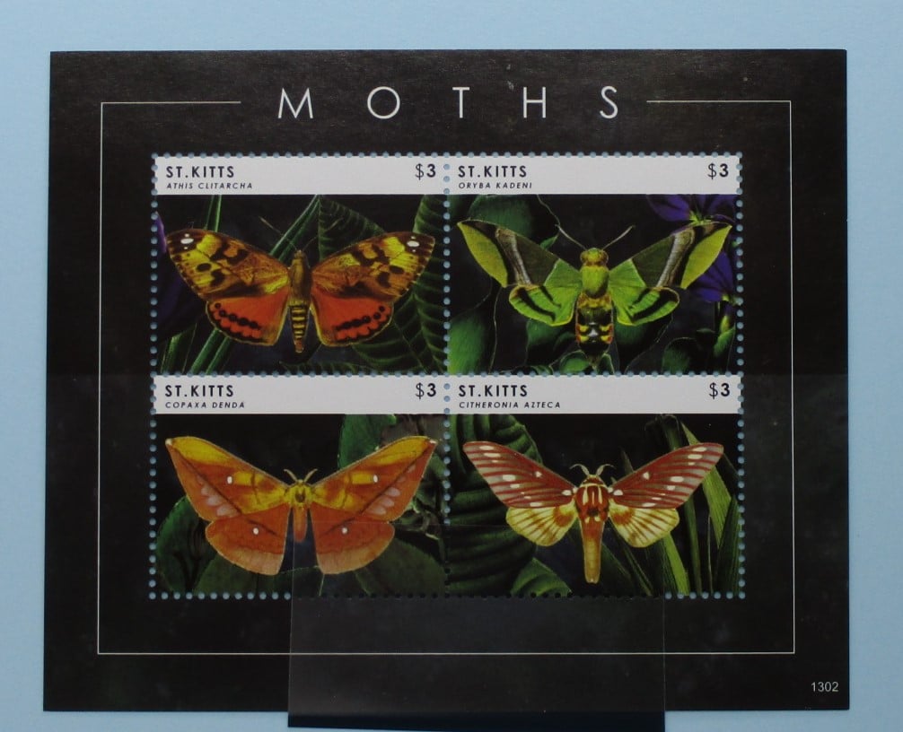 St Kitts Stamps, 2013, MS1098, Mint image 0