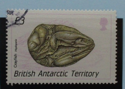 British Antarctic Territory Stamps, 1990, SG185, Used image 0