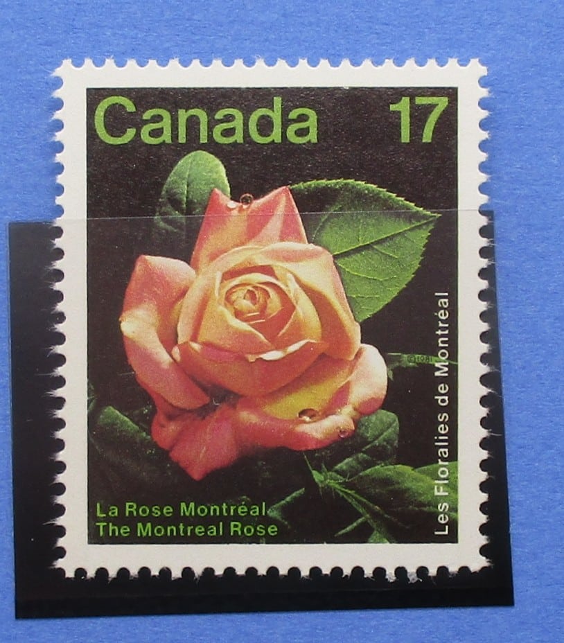 Canada Stamps, 1981, SG1019, Mint image 0