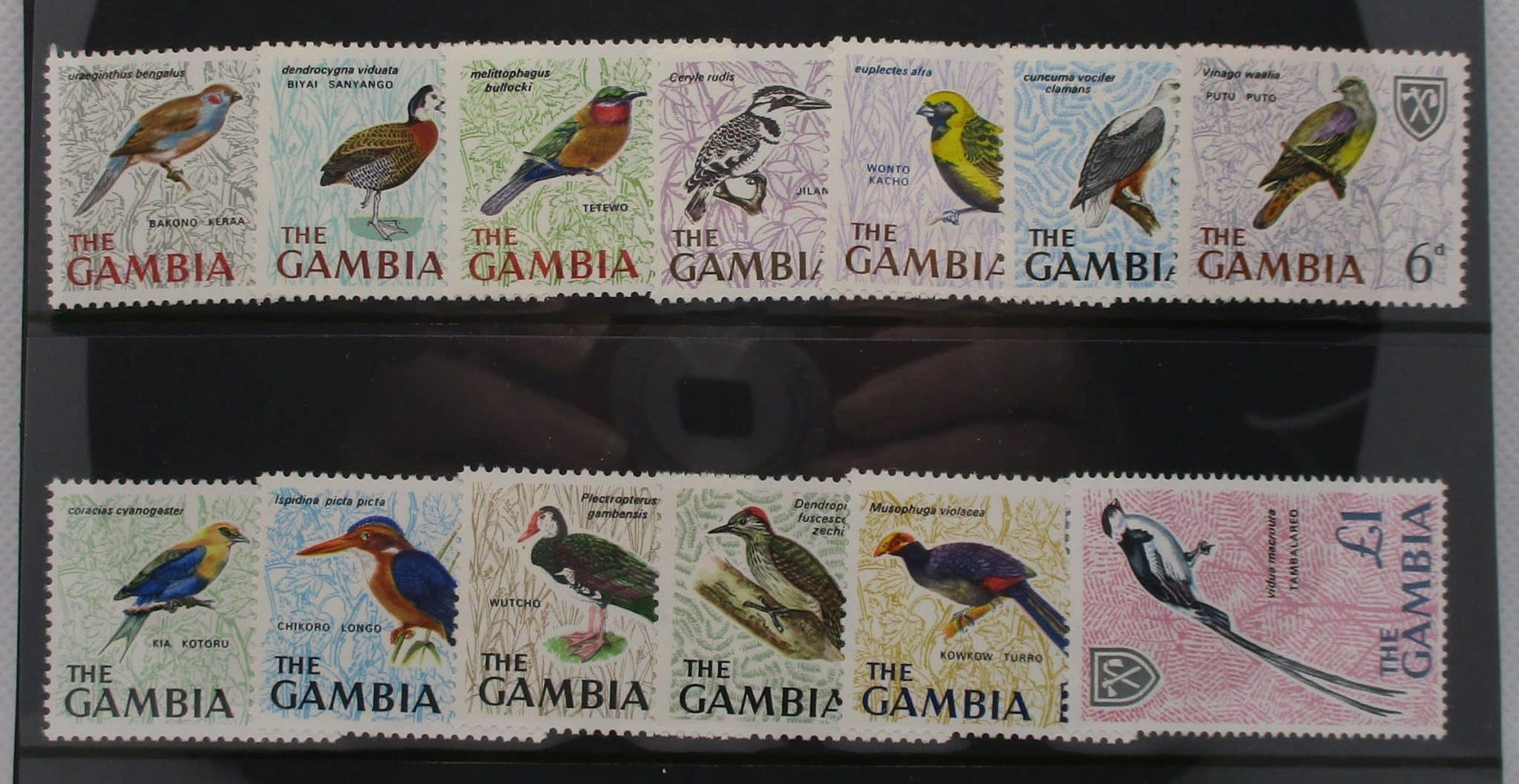 Gambia Stamps, 1966, SG233-245, Mint image 0