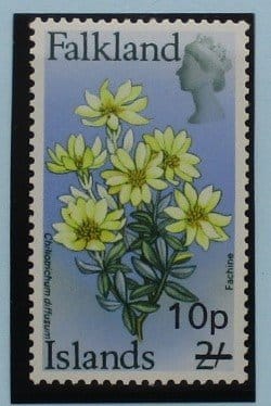 Falkland Islands Stamps, 1971, SG273, Mint image 0