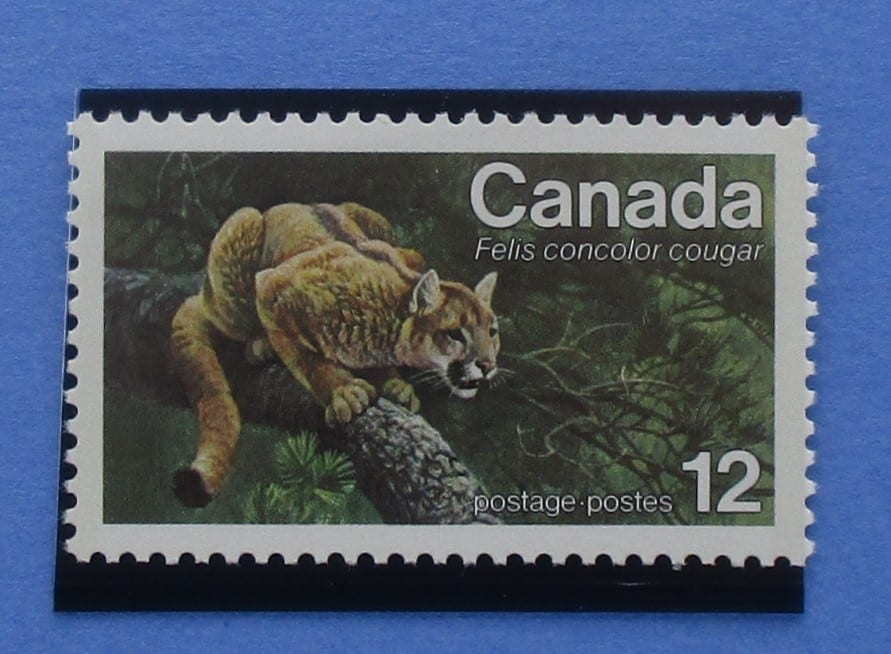 Canada Stamps, 1977, SG886, Mint image 0