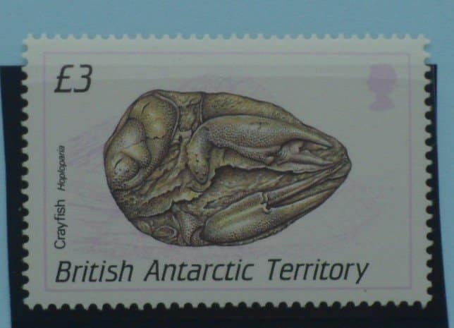 British Antarctic Territory Stamps, 1990, SG185, Mint image 0