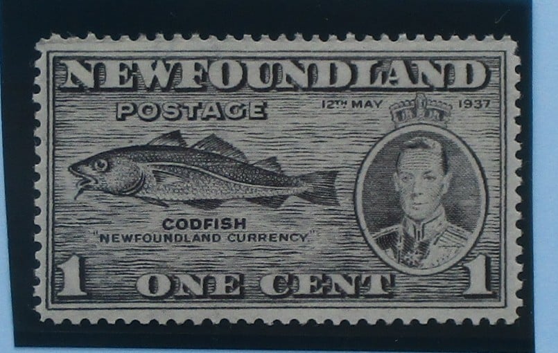 Newfoundland Stamps, 1937, SG257, Mint image 0
