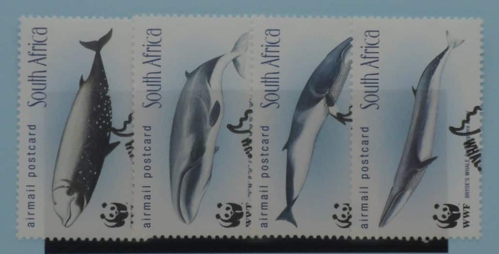 South Africa Stamps, 1998, SG1101-1104, Used image 0