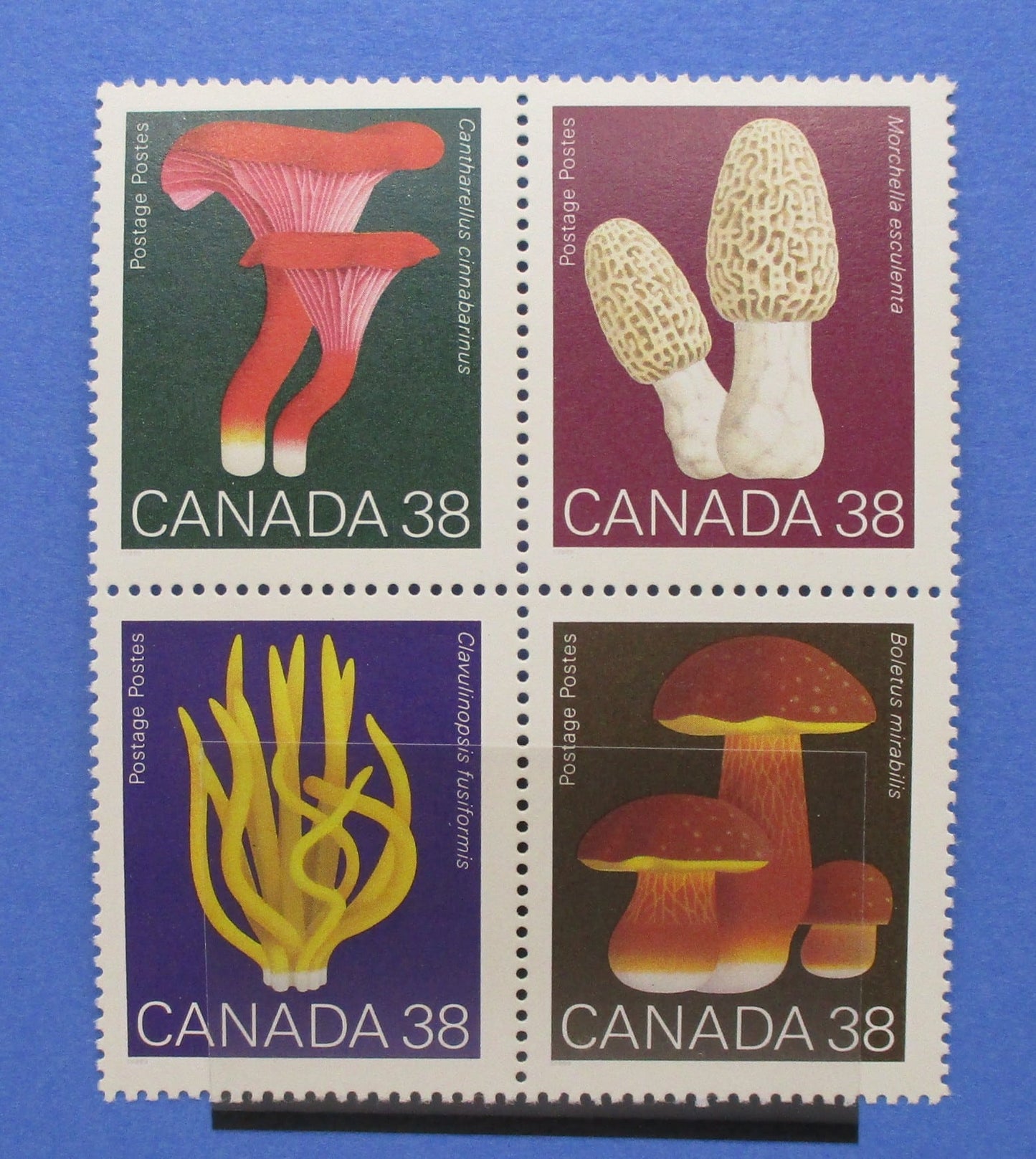 Canada Stamps, 1989, SG1331a, Mint image 0