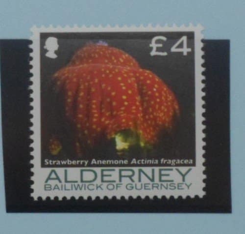Alderney Stamps, 2006-07, SGA308, Mint image 0