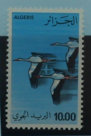 Algeria Stamps, 1979, SG755, Mint image 0