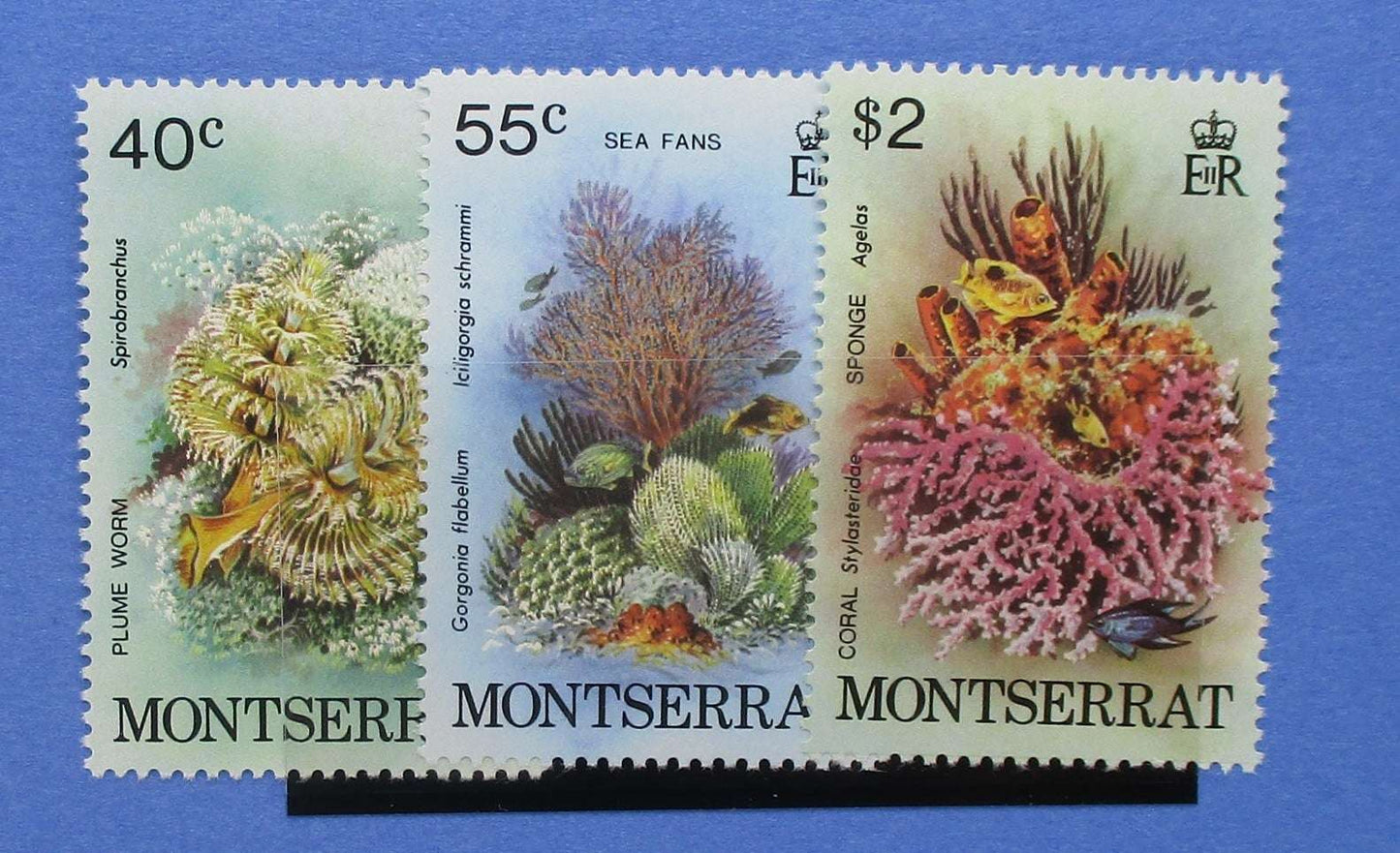 Montserrat Stamps, 1979, SG453-455, Mint image 0