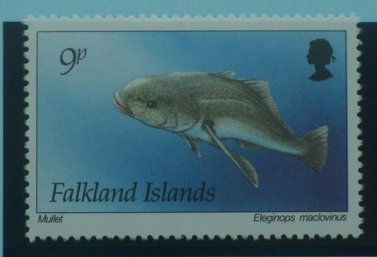 Falkland Islands Stamps, 1994, SG704, Mint image 0