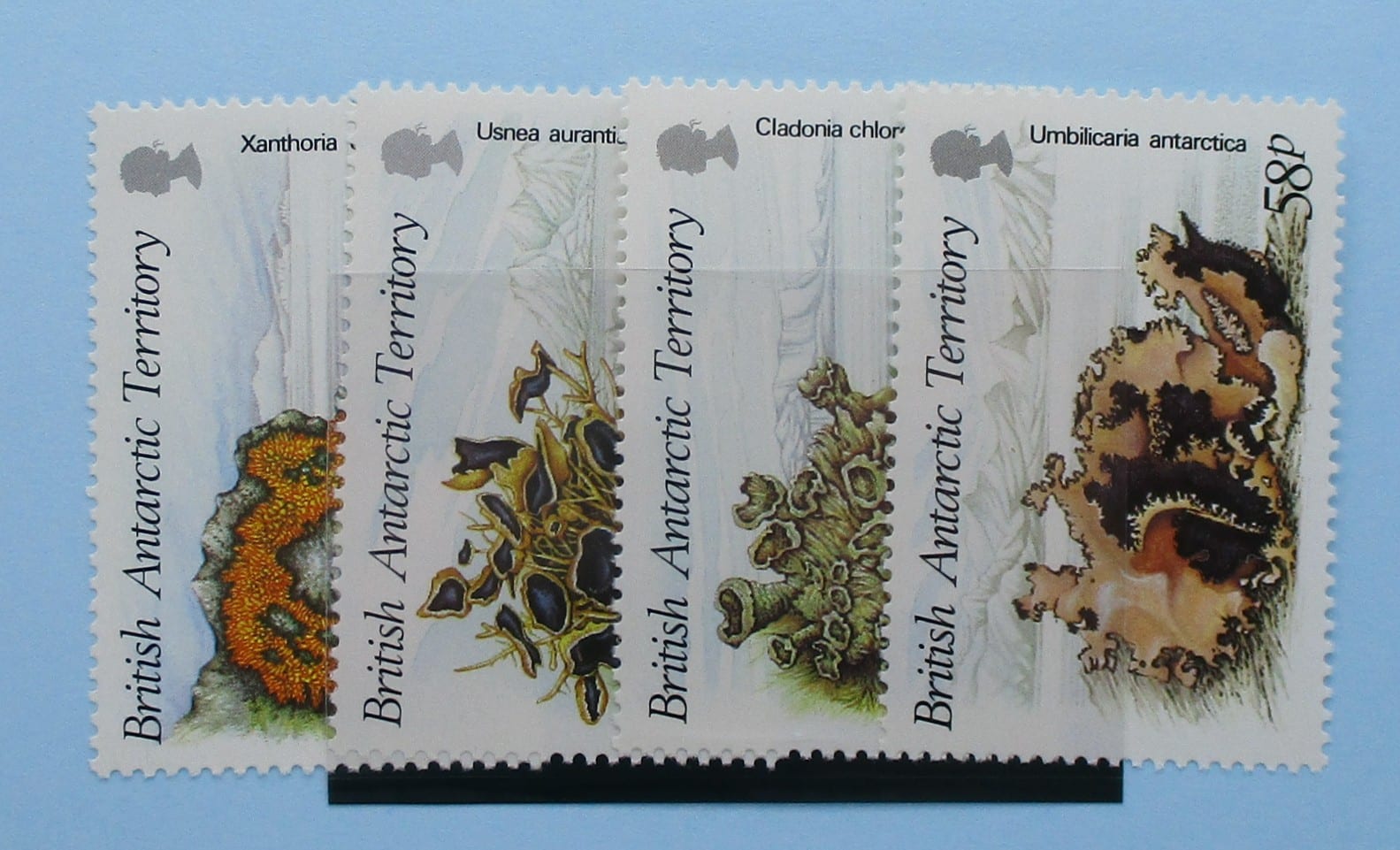 British Antarctic Territory Stamps, 1989, SG167-170, Mint image 0