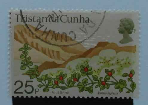 Tristan da Cunha Stamps, 1972, SG167, Used image 0
